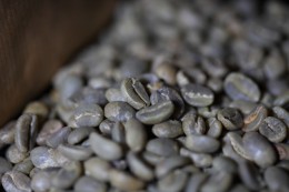 Ωμός Πράσινος Καφές Ethiopia Yirgacheffe Misty Valley G1 Gedeo Farm Natural  1000γρ